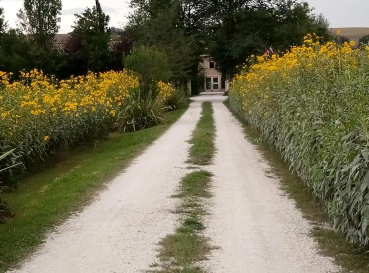 La Casa Di Tara B&B Armonia E Natura Recanati Exterior photo